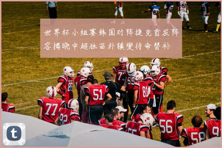世界杯小组赛韩国对阵捷克首发阵容揭晓中超独苗朴镇燮待命替补